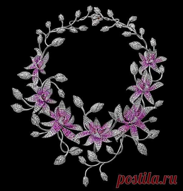 хх