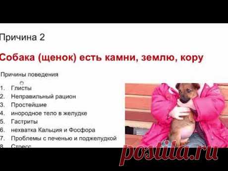 почему все подбирает
