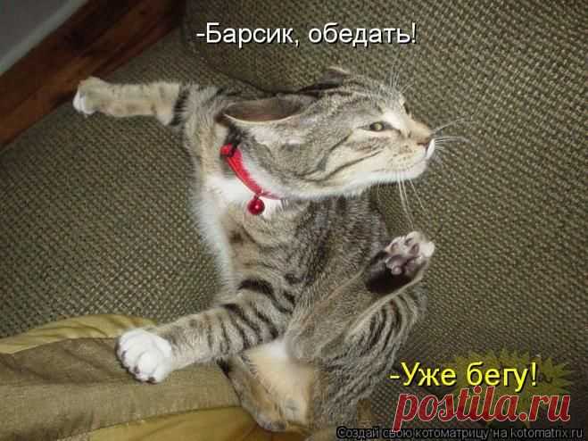 Вы мечтаете похудеть и пробовали все, что только можно: зеленый кофе, ягоды, диск 25-ый кадр, турбослим и чудо-сундучки. Вам обещали быстрое похудение? Я не буду обещать вам тоже самое. Я предлагаю похудеть разумно и без ущерба для вашего здоровья на 5-6 кг в месяц,а главное один раз и навсегда !!! ИНТЕРЕСНО??? Ставьте " Пост" или +++++ в комментариях