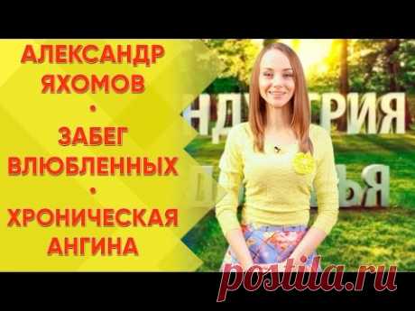 Александр Яхомов | Забег влюбленных | Хроническая ангина. Индустрия здоровья. Эфир от 29.02.2016 - YouTube