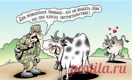 Разведчики | Смех сквозь хохот