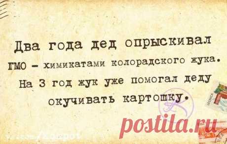 Позитивные фразочки-статусы в картинках 














































