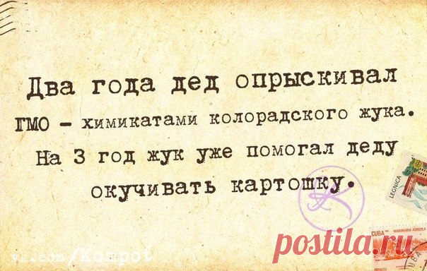 Позитивные фразочки-статусы в картинках 














































