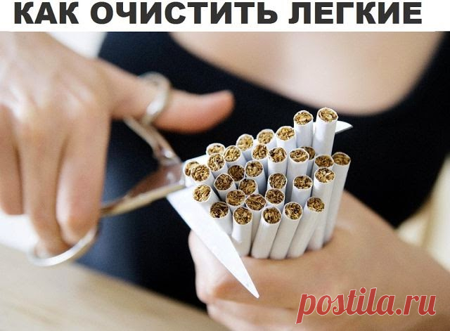 Как очистить лёгкие от смол и слизи после курения? | Мастерская жизни "Растимул"