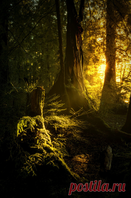 Amistad .. divino tesoro.. — november-photos: A little bit of wilderness