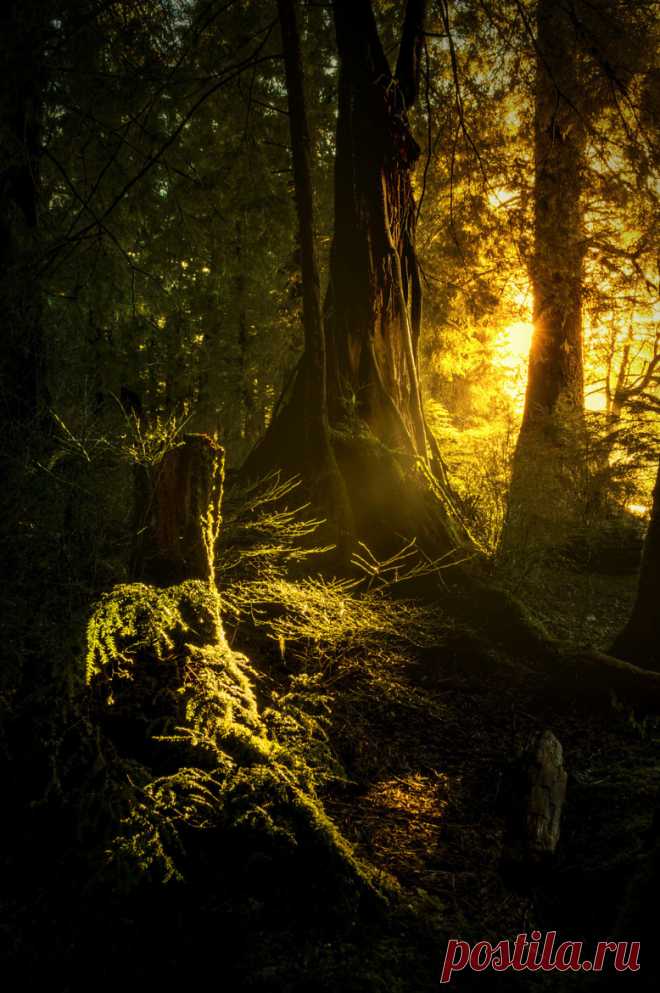 Amistad .. divino tesoro.. — november-photos: A little bit of wilderness