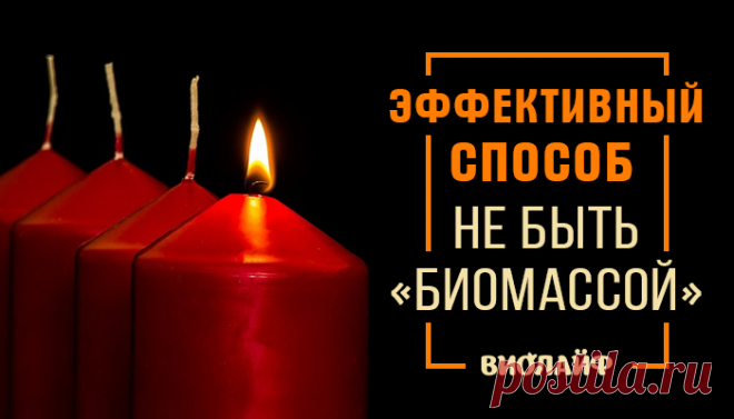Эффективный способ не быть «биомассой»
Содержание Вред демократии Технологии «нужного выбора» Самый простой и эффективный способ не...
Читай дальше на сайте. Жми подробнее ➡