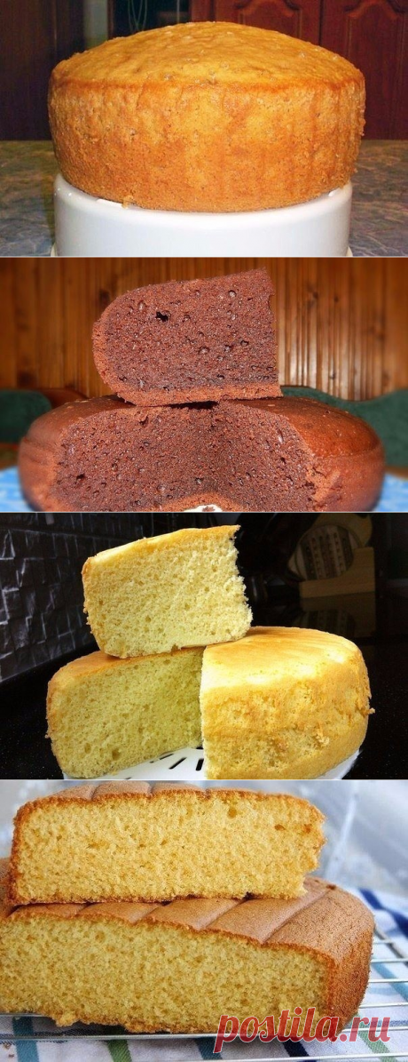 Самые популярные рецепты бисквитов
