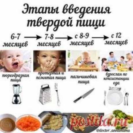 Первый мой ребенок получил все "прелести" моего первого и гиперволнительного материнства, в том числе, позднее введение полутвердой пищи и как следствие-неумение жевать в течение первых нескольких лет жизни . Со вторым я смогла все это предотвратить . Своевременное введение полутвердой пищи крайне важно для: правильного формирования пищевого интереса развития жевательных навыков правильной работы языка развития речи "пинцетного" захвата координации работы рук,...