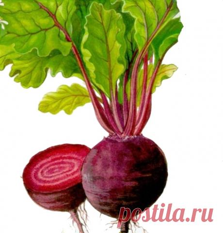 Без заголовка