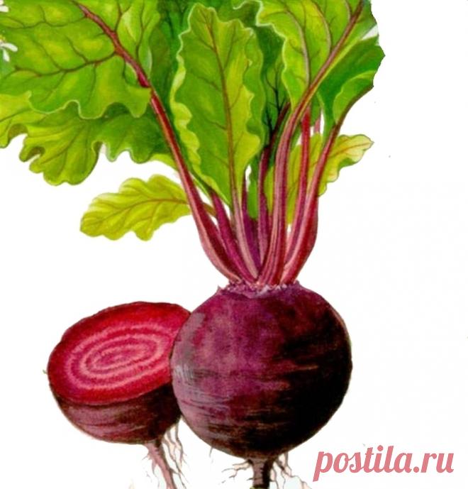 Без заголовка