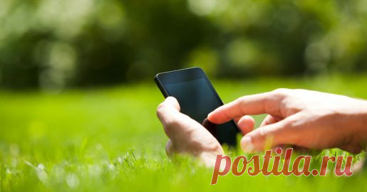 Один день с SMS-банком