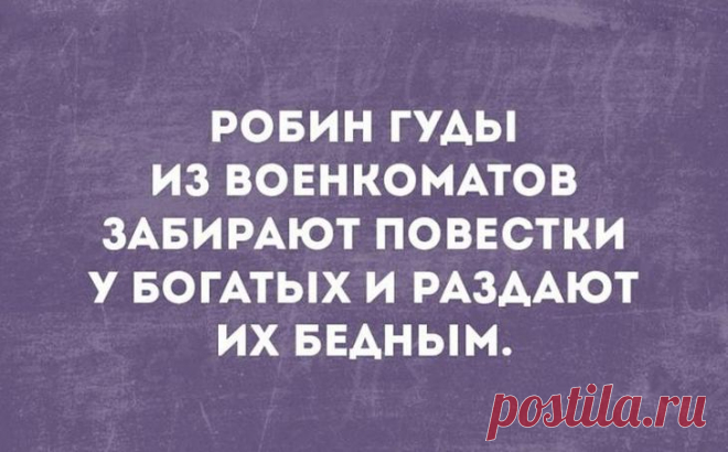 Истории, которые точно поднимут вам настроение