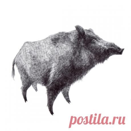 Сообщество иллюстраторов | Участники