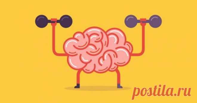 4 привычки, которые превратят вас в гения - Женскии 