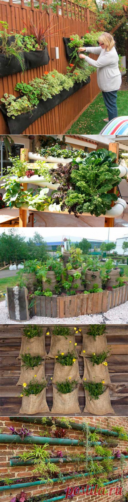 Преимущества и недостатки вертикальных грядок.
На сегодняшний день можно увидеть огромное количество вариантов вертикальных грядок. Выглядят они очень интересно и оригинально. Размещать их можно, как отдельно стоящие конструкции, либо, закрепив к стене, забору или столбам при помощи разных приспособлений. Делают вертикальные грядки абсолютно из разных материалов.