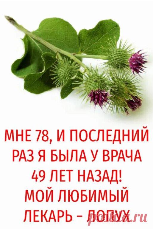 Мой огород утопает в зелени, ведь там растет много лечебных и пряновкусовых трав. Когда ко мне приходит кто-то впервые, сразу задают вопрос: «А зачем в огороде столько сорняков?». Это лопух, полынь, пижма, крапива, разные мяты, котовник, шалфей, кануфер, любисток и много прочих. Всего более 40 наименований....ПОКАЗАТЬ ПОЛНОСТЬЮ