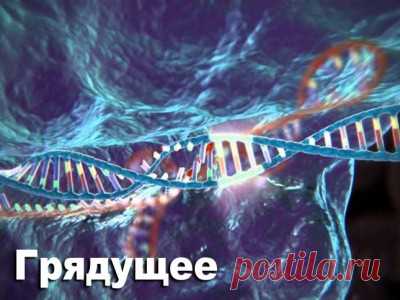 Наука и мы. Нас ждут дизайнерские младенцы и новые технологии создания детей - 7 Октября 2016 - Russia-Asia-Siberia