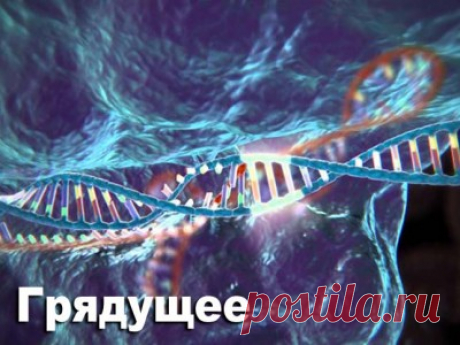 Наука и мы. Нас ждут дизайнерские младенцы и новые технологии создания детей - 7 Октября 2016 - Russia-Asia-Siberia