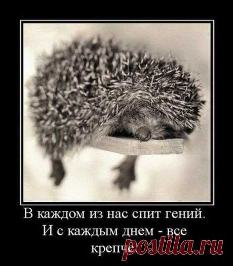 Виртуальная реальность | Обхохочешься