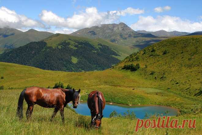 Развлечения в Архызе