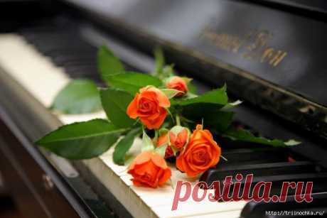 Цветы на клавишах рояля… в глазах две капельки росы….