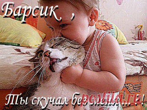 Дети, кошки, ... в общем УЛЫБАШКИ !!! | Позитив в картинках и не только