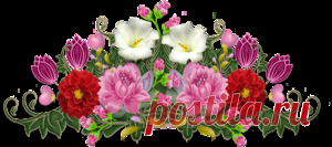 ЦВЕТЫ-----КРАСИВЫЕ СЛОВА