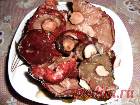 Грибники, давайте квасить. Грузди. Рассказываю про свой рецепт квашения груздей. | грибной критик | Дзен