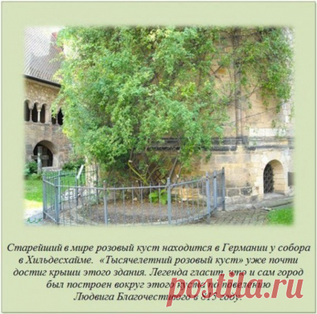 (33) Одноклассники