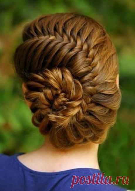 Улитка из рыбьего хвоста