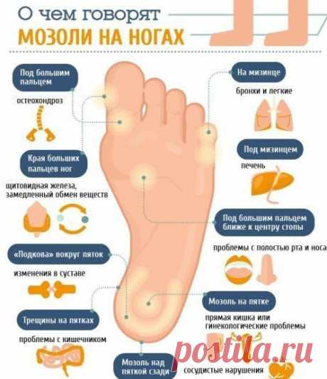 (3) Мой Мир@Mail.Ru