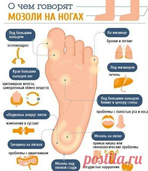 (3) Мой Мир@Mail.Ru