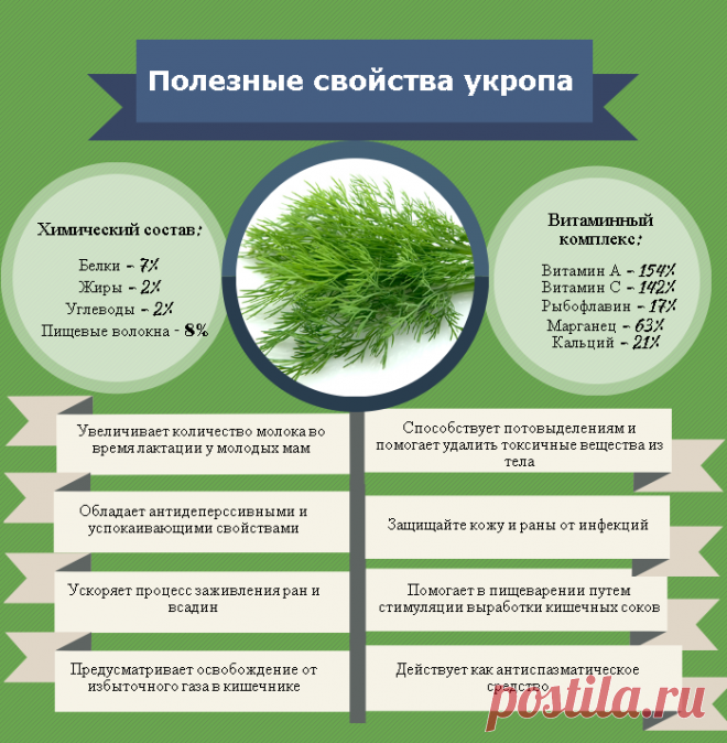 Полезные свойства укропа