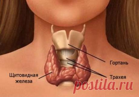 Гипотиреоз: как подобрать лечебные травы