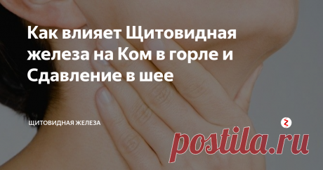 Как влияет Щитовидная железа на Ком в горле и Сдавление в шее Симптомы кома в горле, удушения, чувства обруча, дискомфорта от высокого воротника, ощущение слизи в горле, которую не видит ЛОР-врач и подобные признаки могут сопровождать заболевания щитовидной железы. В таких случаях всегда возникает вопрос о том, как влияет щитовидка на появление указанных симптомов.
Действительно ли именно щитовидная железа провоцирует эти явления?