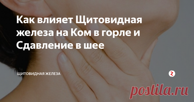 Как влияет Щитовидная железа на Ком в горле и Сдавление в шее Симптомы кома в горле, удушения, чувства обруча, дискомфорта от высокого воротника, ощущение слизи в горле, которую не видит ЛОР-врач и подобные признаки могут сопровождать заболевания щитовидной железы. В таких случаях всегда возникает вопрос о том, как влияет щитовидка на появление указанных симптомов.
Действительно ли именно щитовидная железа провоцирует эти явления?
