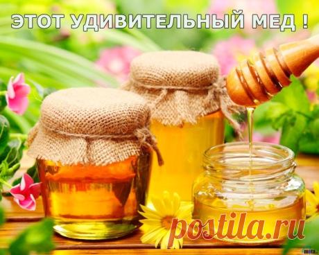 (5) Одноклассники