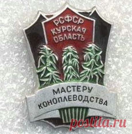 Всемирный заговор против конопли — Бизнес-клуб — Профессионалы.ru