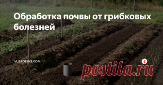 Обработка почвы от грибковых болезней Самое страшное, что может произойти с участком огородника - это появление на нем грибковых заболеваний. Они способны не только сократить урожай, но и полностью его уничтожить.
Для этого им хватит нескольких суток. Для грибковых болезней, почва - легкая цель. Как многие отмечают, большинство привычных методов борьбы с ними плохо с этим справляются. Работать с почвой нужно аккуратно, чтобы не спрово