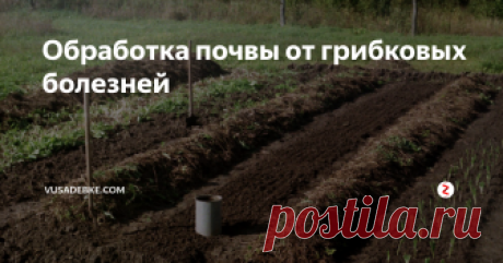 Обработка почвы от грибковых болезней Самое страшное, что может произойти с участком огородника - это появление на нем грибковых заболеваний. Они способны не только сократить урожай, но и полностью его уничтожить.
Для этого им хватит нескольких суток. Для грибковых болезней, почва - легкая цель. Как многие отмечают, большинство привычных методов борьбы с ними плохо с этим справляются. Работать с почвой нужно аккуратно, чтобы не спрово