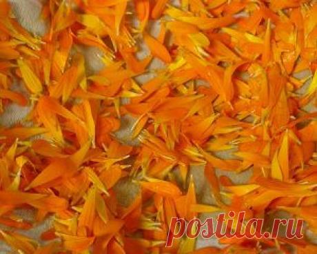 Как снять интоксикацию организма?