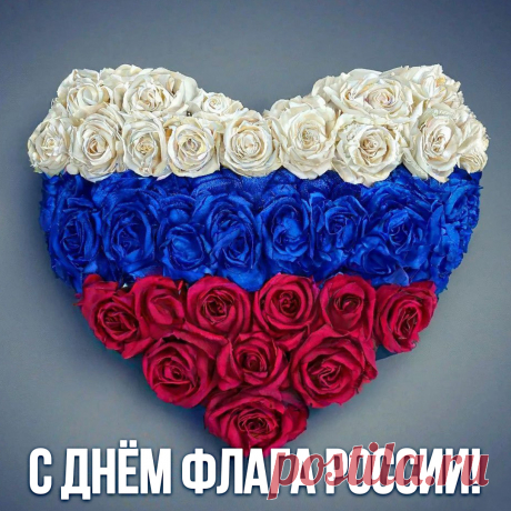 С днем флага России я вас поздравляю,
Под знаменем этим рождалась свобода,
Великая матушка Русь,
Я верю в Отечество, прочь все невзгоды,
И флагом заветным горжусь.