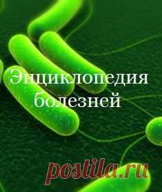 Гимнастика и фитнесс | Гавань здоровья