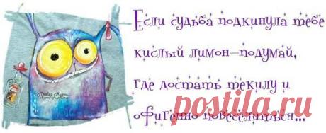 Юмор - 4 Февраля 2021 - NewRezume.org