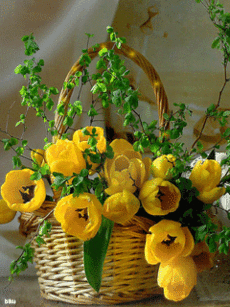 Дневник Оленька_Коваленко