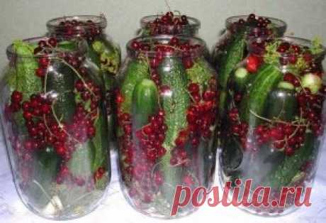 (99) Одноклассники