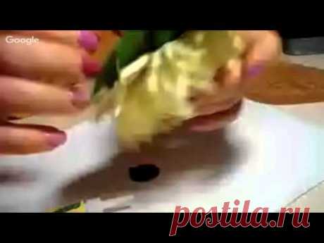 Игольчатая астра из фоамирана