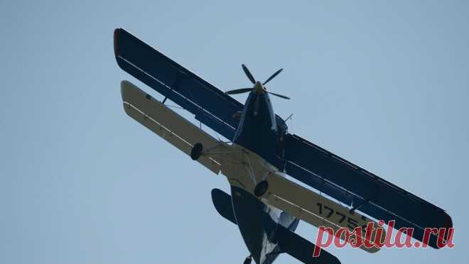 На Чукотке перестал выходить на связь самолет Ан-2. Самолет Ан-2, на борту которого три человека, перестал выходить на связь на Чукотке. Об этом РИА Новости сообщили в МЧС. Самолет принадлежит компании "Стриж Авиа". Он вылетел в 1:40 мск по маршруту Певек — АС Полярный ...