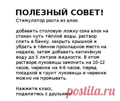 (36) Одноклассники